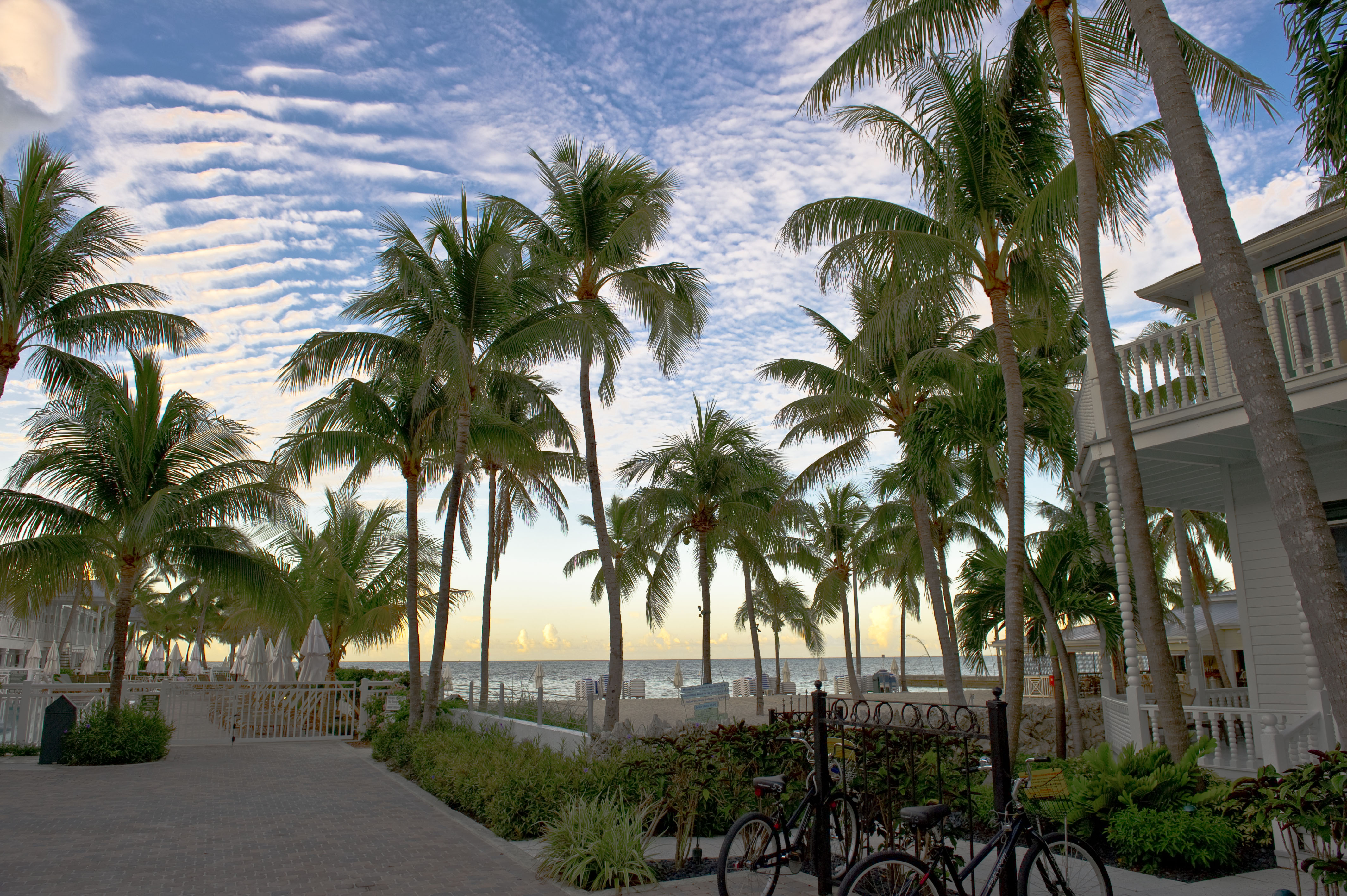 Cheap Things to Do in Key West – The Key Wester | A Key West