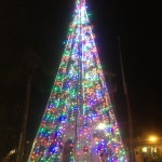 Christmas Lights in Key West