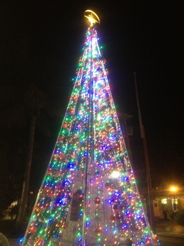 Christmas Lights in Key West