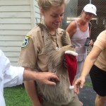 Monroe County Sheriff Officer with the Animal Farm's Sloth