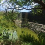 The moat around Fort Zachary Taylor.