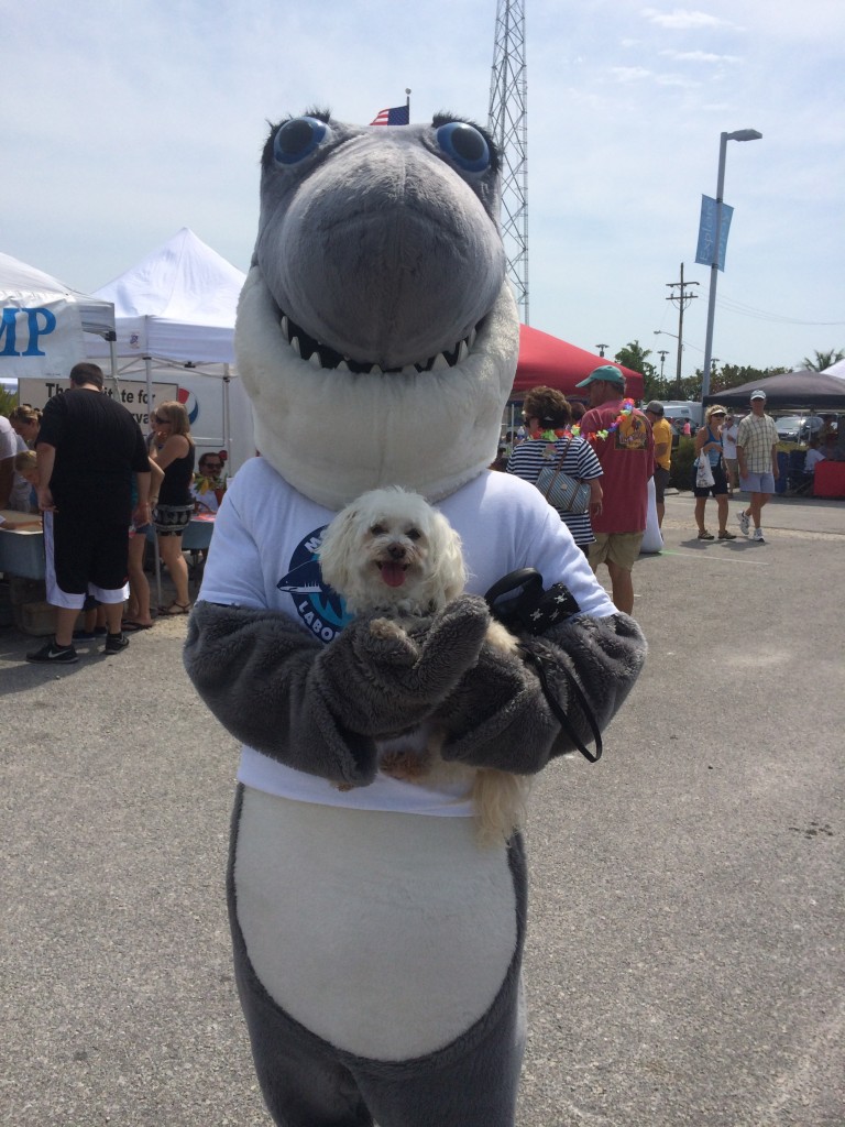 Indiana Bones Key West Dog events