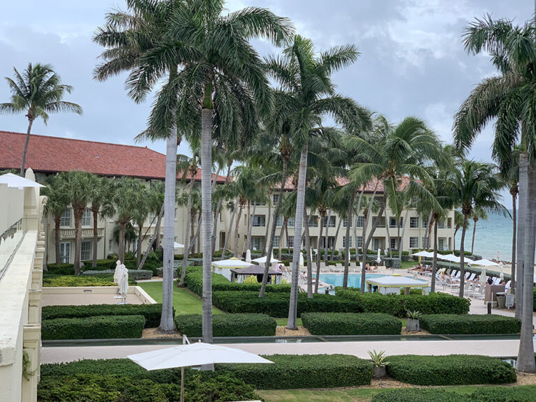 Resort pool area with tall palm trees, white umbrellas, and sun loungers; ocean visible beyond the courtyard.