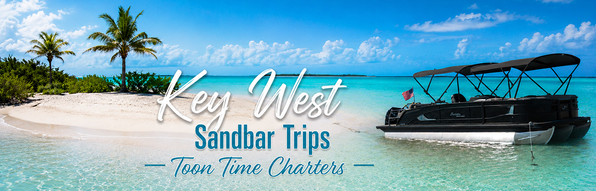 Key West sandbar Trip Toon Time