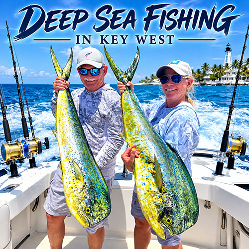 Deep Sea Fishing Key West mahi mahi